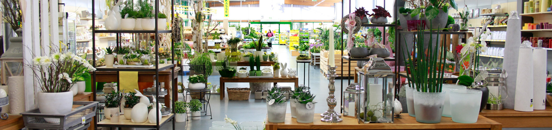 Ambiente_gross_01